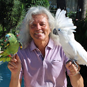 Profile Picture of Mark Steiger (@MarkSteiger-Parrotshow) on Youtube