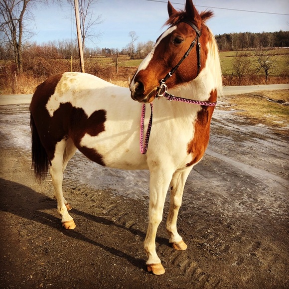 Profile Picture of Megan Soukup (@megansoukup) on Poshmark