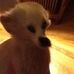 Profile Picture of Brian Bench (@brian.bench.714) on Facebook