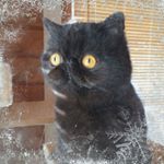 Jaana Jyrkinen - Instagram Profile Picture of Jaana Jyrkinen (@jaanajyrkinen) on Instagram