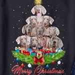 Profile Picture of Sherry Castor (@castorsherry) on Instagram