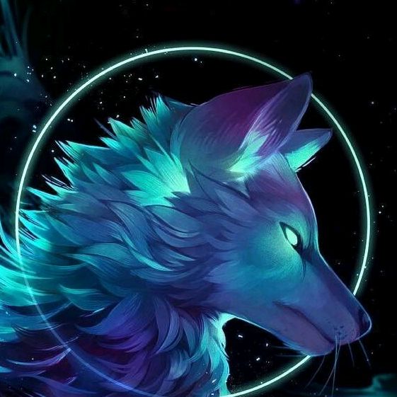 adolfo - Tiktok Profile Picture of adolfo (@adolfochum1) on Tiktok