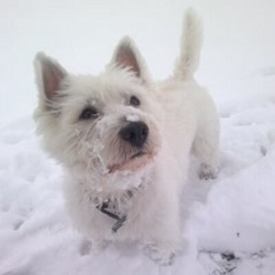 Profile Picture of Mark Trotman (@Trotters1974) on Twitter