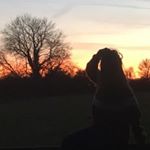 Profile Picture of Petey Pie (@peterrupertpanda) on Instagram