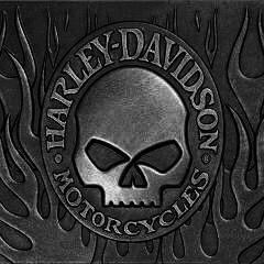 Profile Picture of Brian Bauernfeind (@Brian_b0709) on Twitter