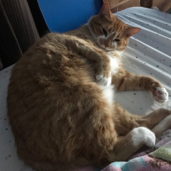 Haley Banas - Poshmark Profile Picture of Haley Banas (@haleybunnybops) on Poshmark