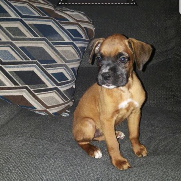 Profile Picture of Cody Hoskins (@codyhoskins) on Poshmark