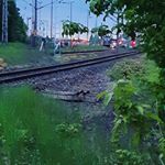 Profile Picture of david Hiller (@davidkou156) on Instagram
