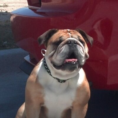 Profile Picture of Matthew Hacker (@matthacker1375) on Twitter
