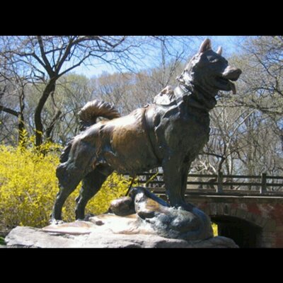 Profile Picture of Jason Cable (@jasoncable28) on Twitter