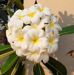 Profile Picture of Janet Wehrenberg (@janet.wehrenberg) on Facebook