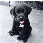 Profile Picture of julia_albertoo (@julia_albertooo) on Instagram