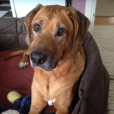 Profile Picture of Mike Legg (@Bexram) on Twitter