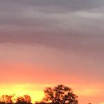 Profile Picture of Ky’Lee Nichols (@kyleenichols99) on Instagram