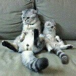 Profile Picture of JohnField (@johngarfield91) on Instagram