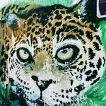 Melanie Coburn Elliott - Instagram Profile Picture of Melanie Coburn Elliott (@melanie.around.the.world) on Instagram