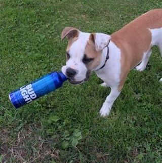 Profile Picture of Jeddie Pitre (@jeddie.pitre) on Facebook