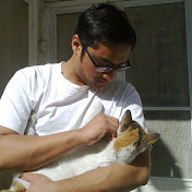 Profile Picture of Vishnu Pillai (@vishnupillai2864) on Youtube