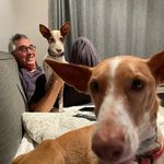 Profile Picture of Stuart Baldwin (@v2stu) on Instagram