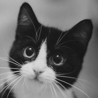 Profile Picture of Audrey Real (@audrey-real-1) on Quora