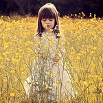 Profile Picture of Zhang Hai (@zhanghai4523) on Flickr