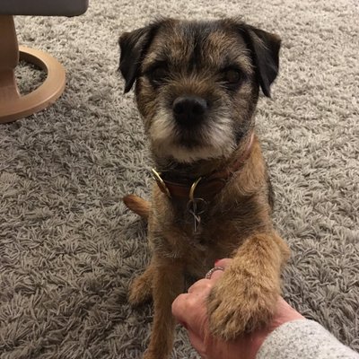 Profile Picture of Ken Tait (@Kenbothejambo) on Twitter