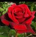 Profile Picture of Robin McGee Hilley (@robin.hilley) on Facebook