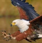 Profile Picture of Brian Man (@Brian-Man) on Facebook