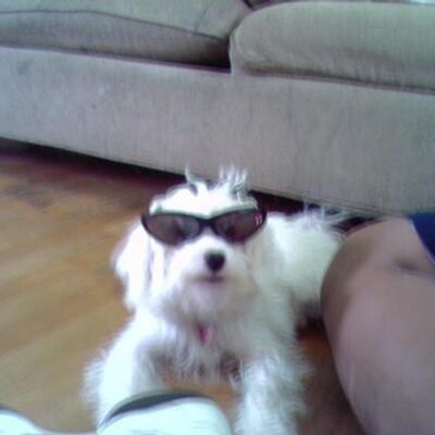 Profile Picture of Daniel Rivas (@midrivas) on Twitter