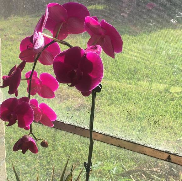 Profile Picture of Serena Simms-young (@ssimmsyoung) on Poshmark