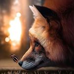 Profile Picture of james krebs (@james.krebs98) on Instagram