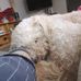 Profile Picture of Claire Manning (@claire.manning.1694) on Facebook