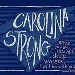 Tami Brock - Instagram Profile Picture of Tami Brock (@tamibrock) on Instagram