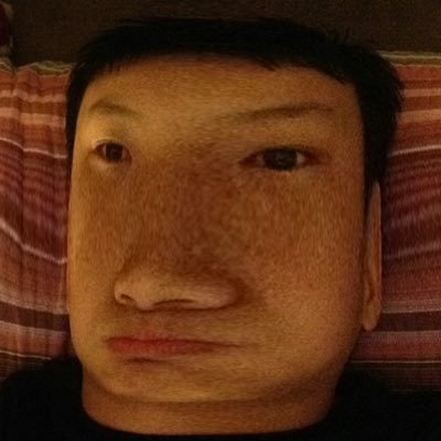 Profile Picture of T.y.l.e.r._l (@TylerLum3) on Twitter