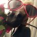 Profile Picture of Janet Colbert (@janetcolbertjc) on Pinterest