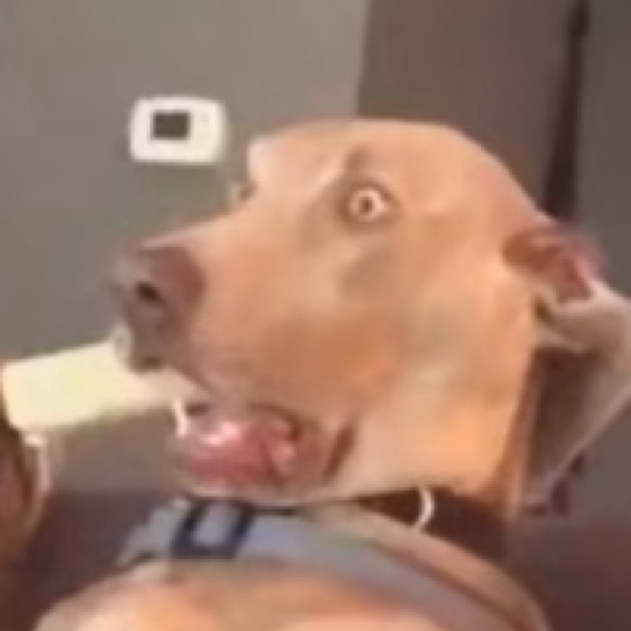 Profile Picture of Taylor Hatfield (@taylorhhatfield) on Poshmark