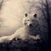Profile Picture of Mary Eyler (@mary.eyler.31) on Facebook