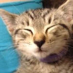 Profile Picture of Brooklyn Chasteen (@tylerpaigesanders) on Instagram