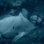 Profile Picture of Lisa Miesner (@miesnerlisa) on Instagram