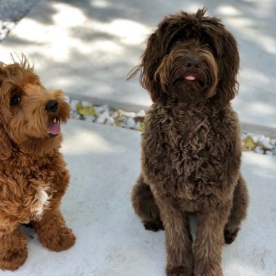 Profile Picture of Lisa D. (@LisaDavid8) on Twitter