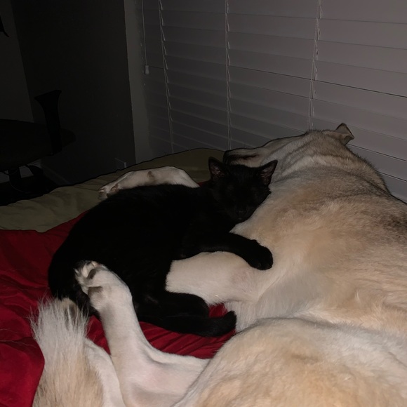 Profile Picture of Bryce Harmon (@bryceharmon) on Poshmark