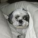 Profile Picture of Travis Eck (@maceo2234) on Pinterest