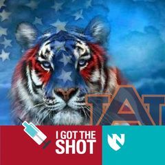 Profile Picture of nancyburditt2 (@nancyburditt2) on Tiktok