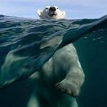 Profile Picture of Thomas James Stammers (@thomasstammers) on Instagram