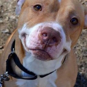 Profile Picture of Nathan Mcclendon (@nathanmcclendo1) on Twitter