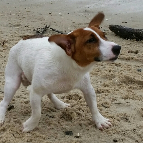 Profile Picture of Richard Hayslett (@rlhayslett) on Poshmark