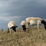 Profile Picture of James Koech (@James-Koech) on Facebook