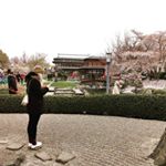 Profile Picture of Anna (@a.n.n.a.pompana) on Instagram