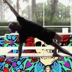 Profile Picture of Jeff Coster (@chairyogarocks) on Instagram