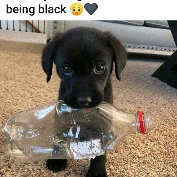 Profile Picture of Joe Park (@joe_park) on Poshmark